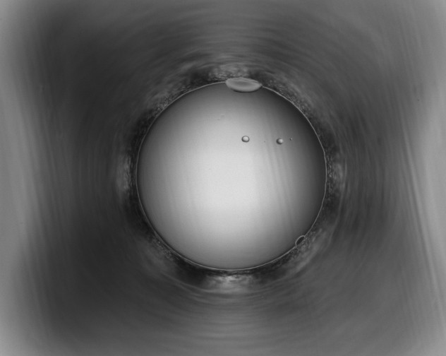 X0000100320323200806051522