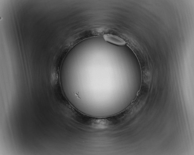 X0000100320324200806051522