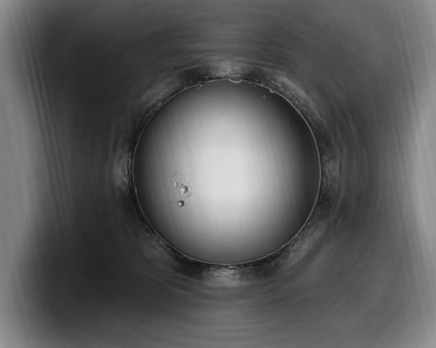 X0000100320325200806051522