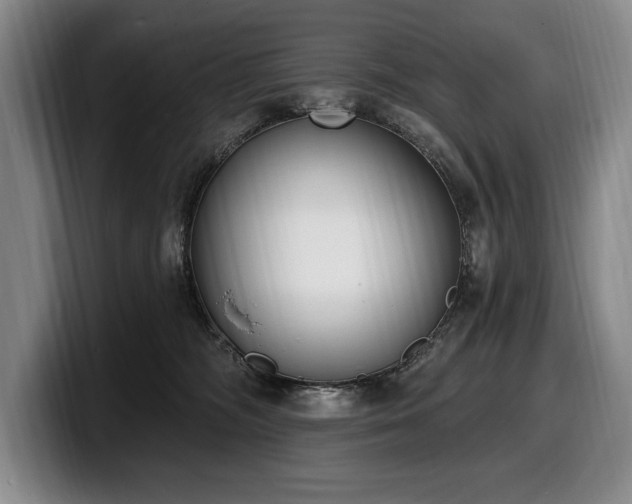 X0000100320326200806051522