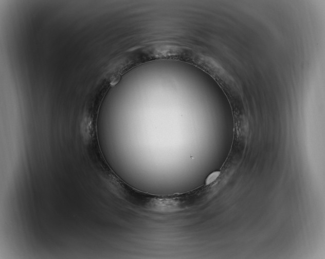 X0000100320327200806051522