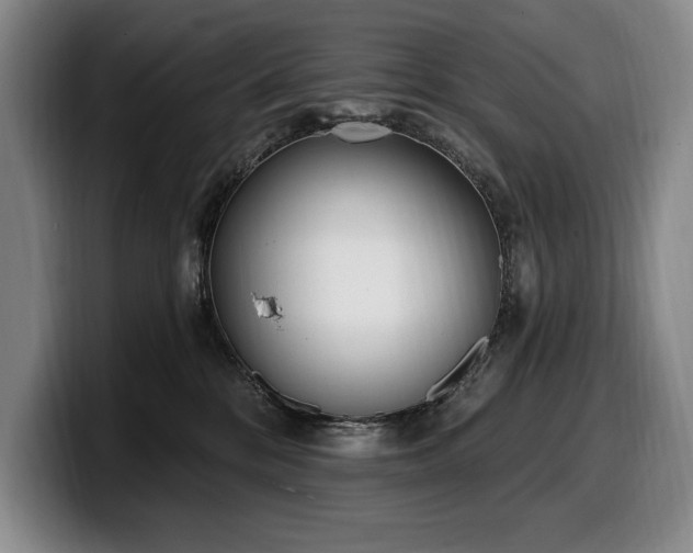 X0000100320328200806051522