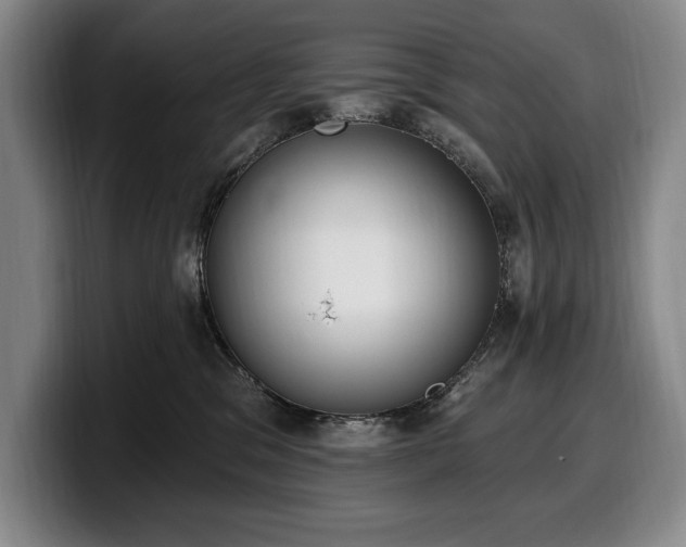 X0000100320329200806051522