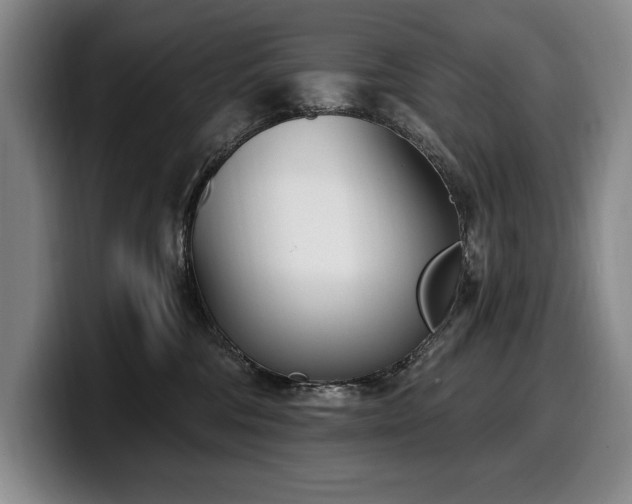 X0000100320330200806051522