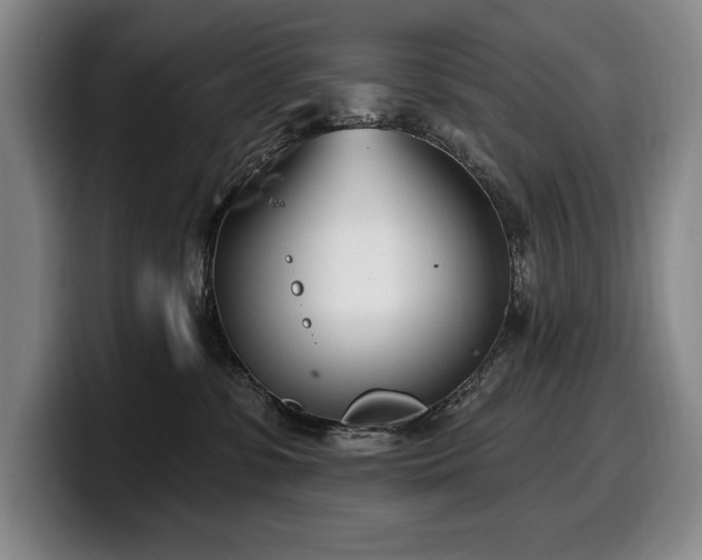 X0000100320331200806051522