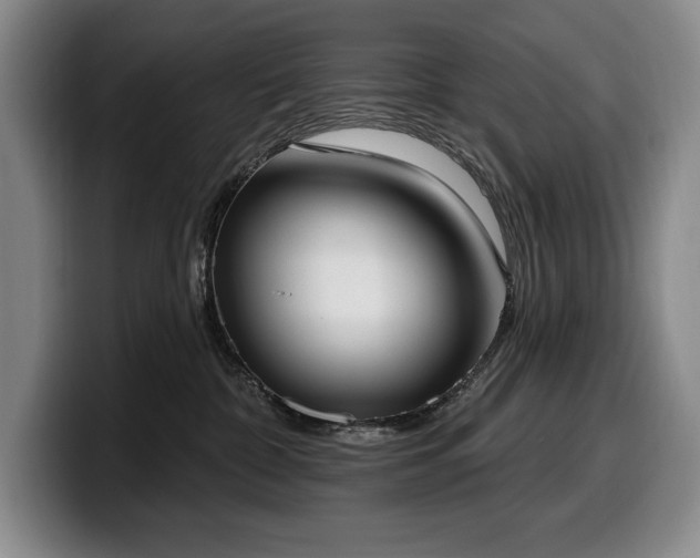 X0000100320332200806051522