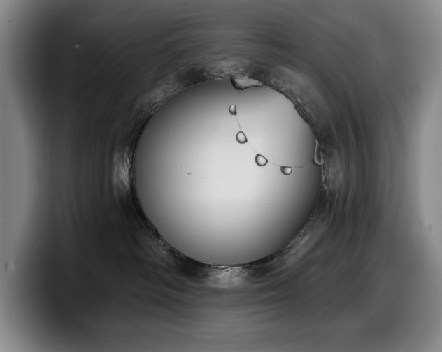 X0000100320334200806051522