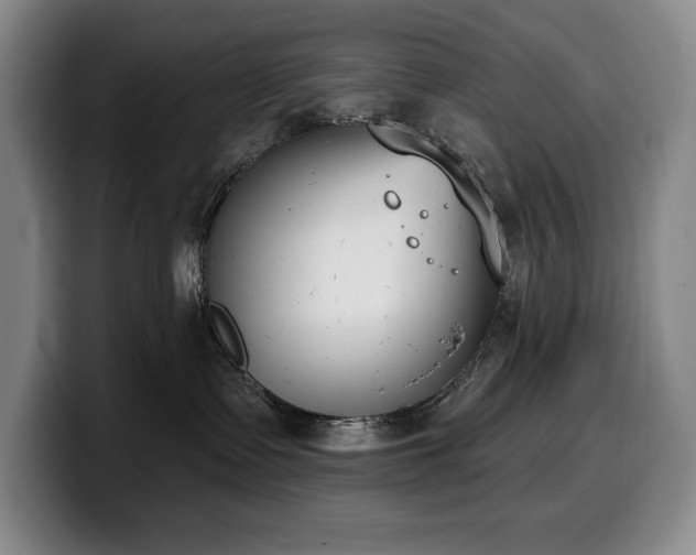 X0000100320335200806051522