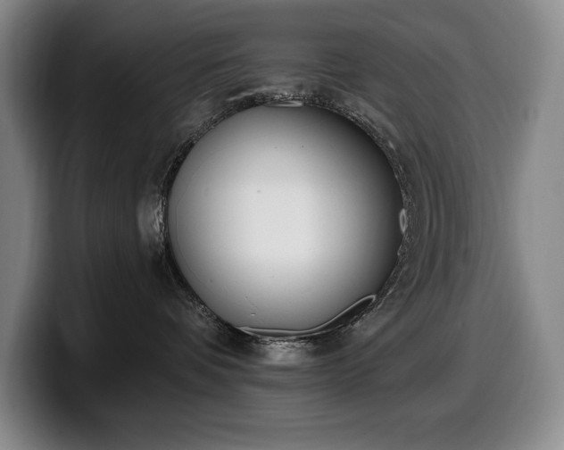 X0000100320336200806051522