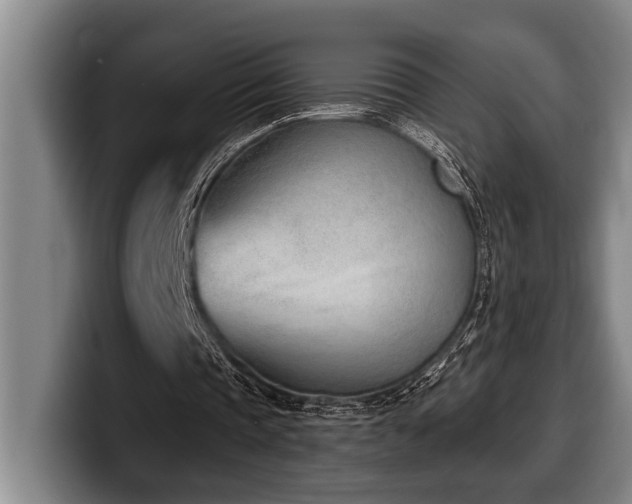 X0000100320337200806051521