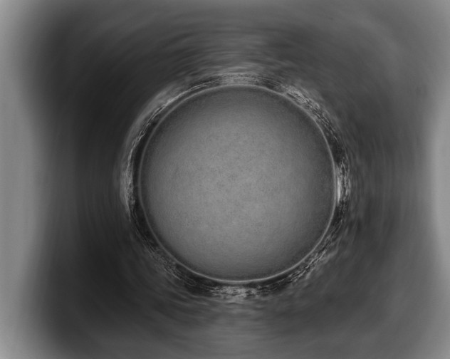 X0000100320339200806051521