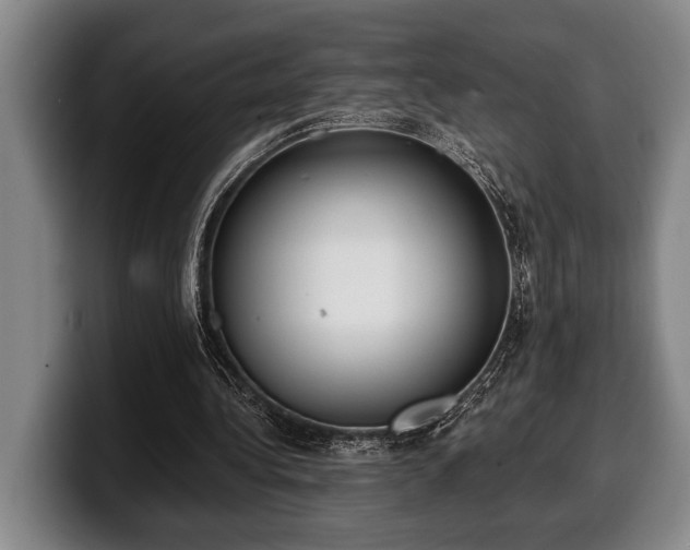 X0000100320340200806051521