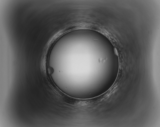 X0000100320341200806051521