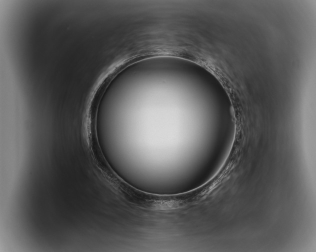 X0000100320342200806051521