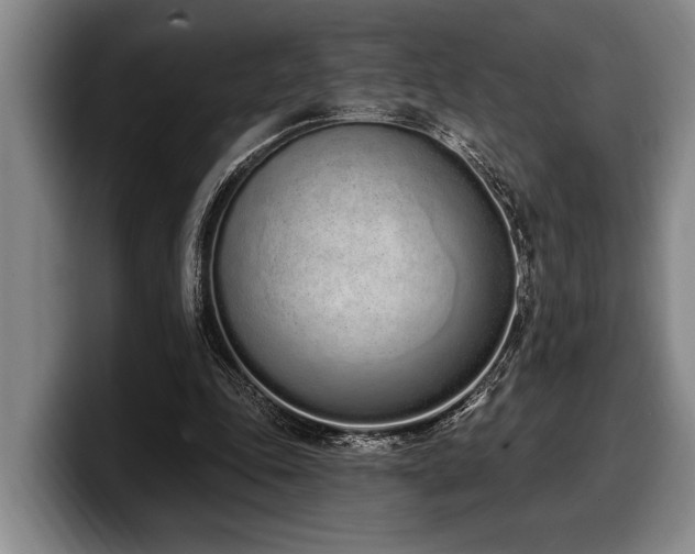 X0000100320343200806051521