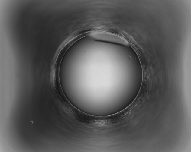 X0000100320344200806051521