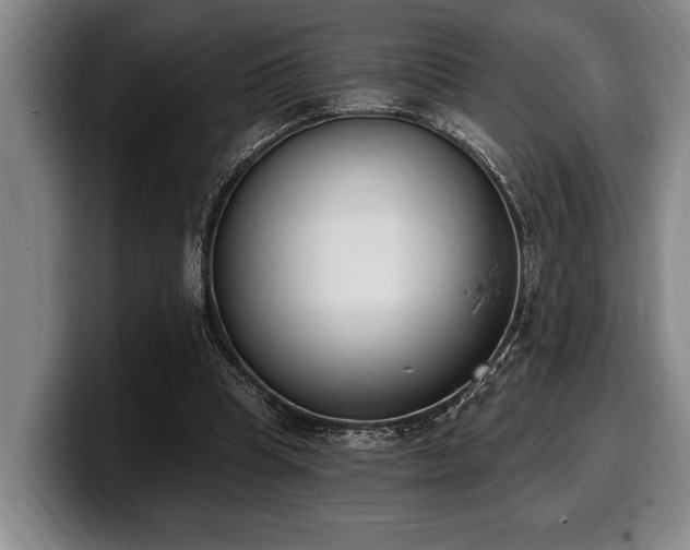 X0000100320345200806051522