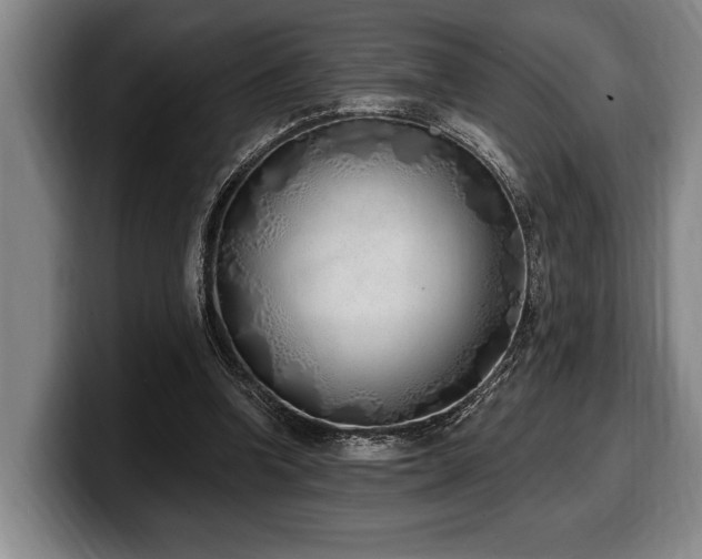 X0000100320346200806051522