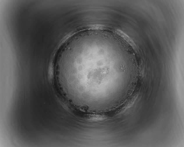 X0000100320347200806051522