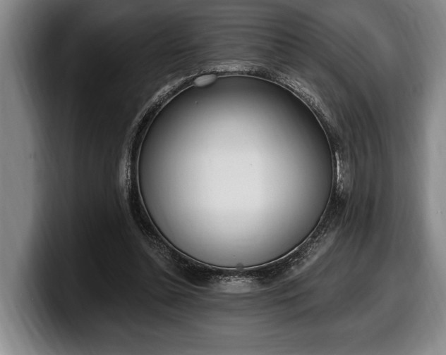 X0000100320348200806051522