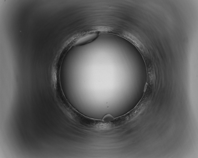 X0000100320350200806051522