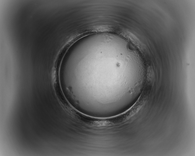 X0000100320351200806051522