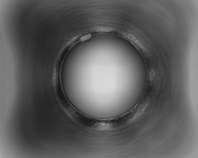 X0000100320352200806051522