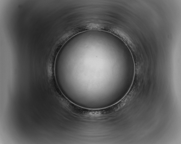 X0000100320353200806051522