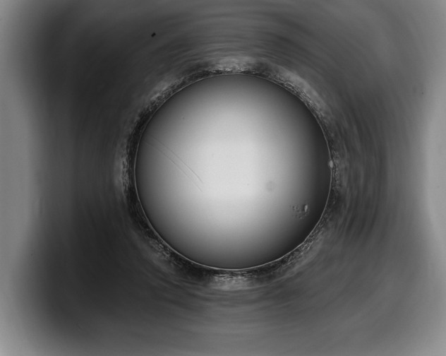 X0000100320354200806051522