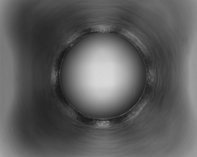 X0000100320355200806051522