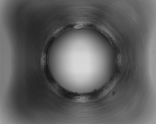 X0000100320356200806051522