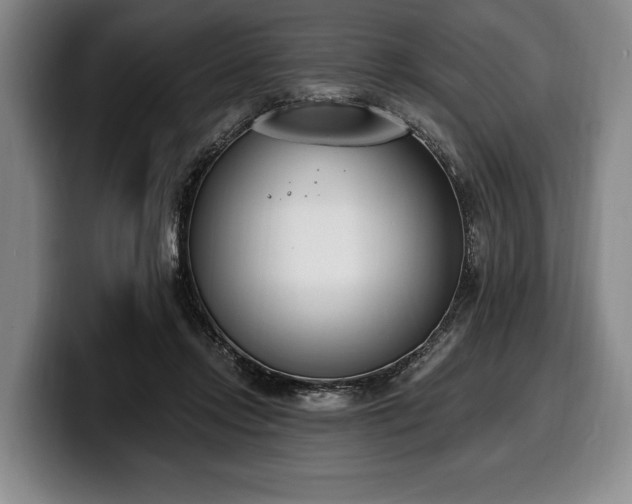 X0000100320358200806051522