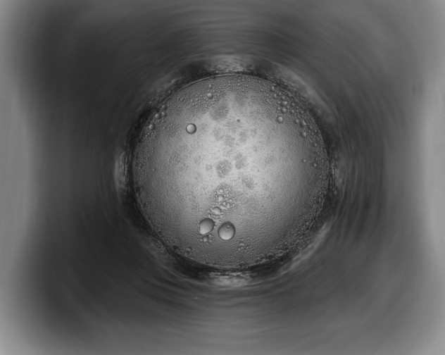 X0000100320359200806051522