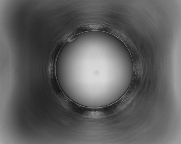 X0000100320360200806051522