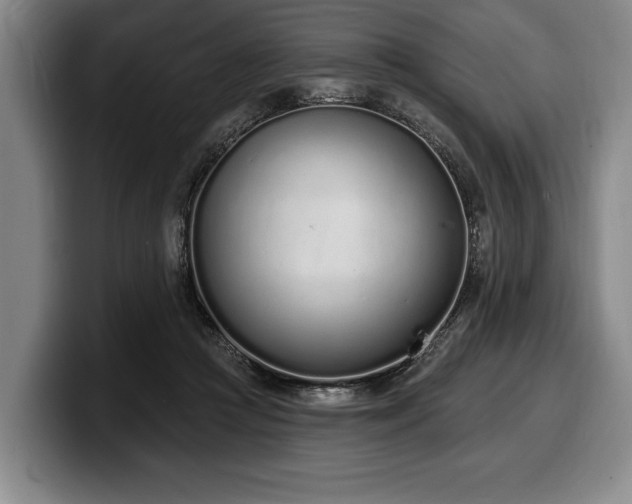 X0000100320361200806051522