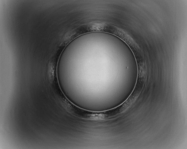 X0000100320363200806051522