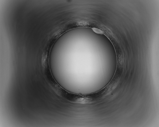 X0000100320364200806051522