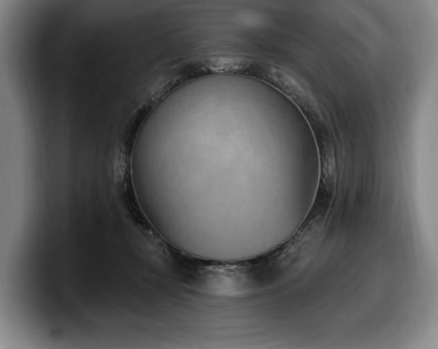 X0000100320367200806051522