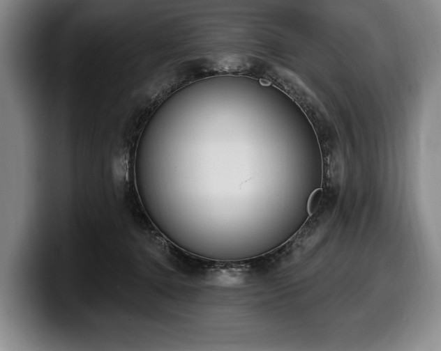 X0000100320368200806051522