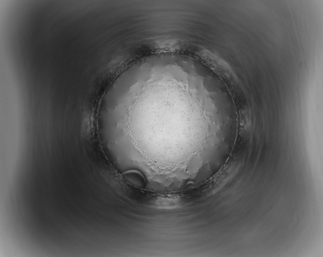 X0000100320369200806051522