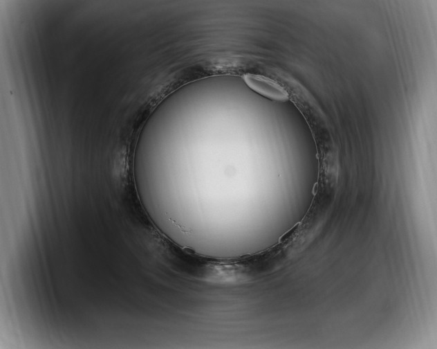 X0000100320372200806051522