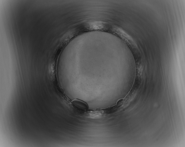 X0000100320373200806051522