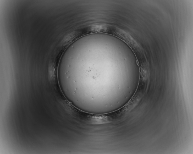 X0000100320375200806051522