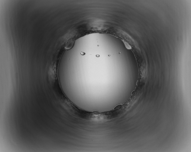 X0000100320376200806051522