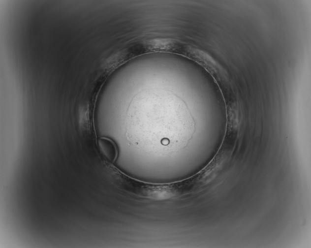 X0000100320377200806051522