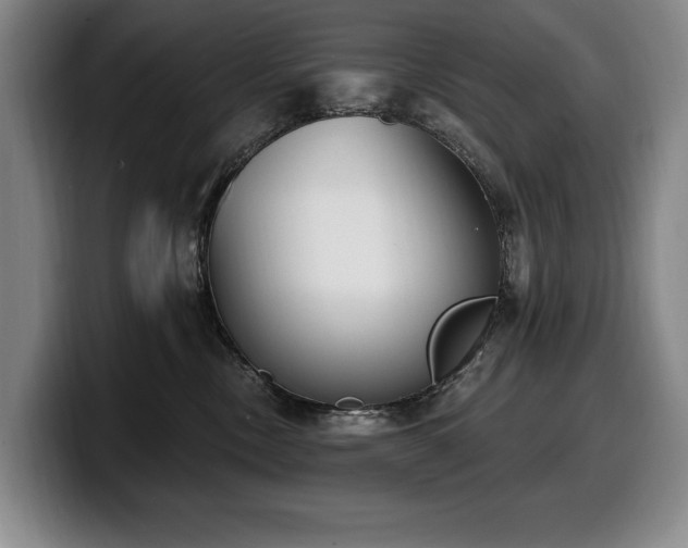 X0000100320378200806051522