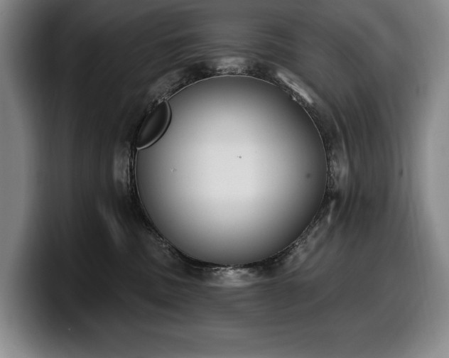 X0000100320379200806051522