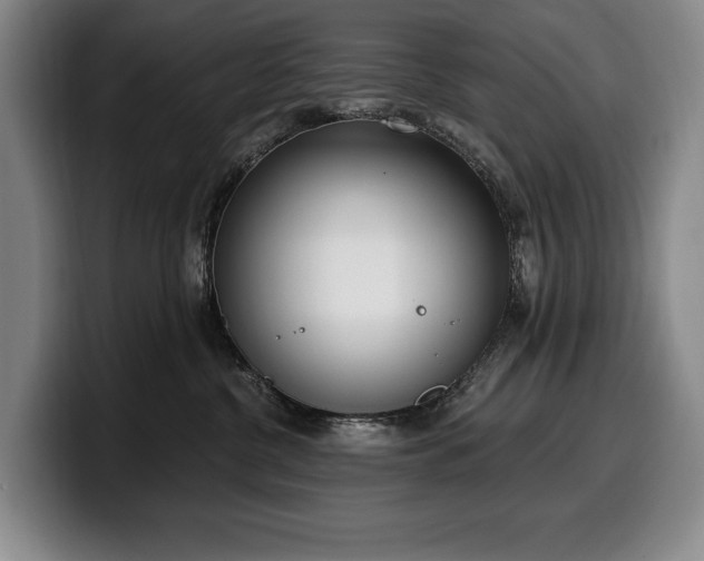 X0000100320380200806051522