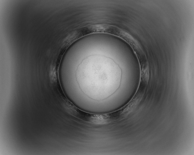 X0000100320381200806051522