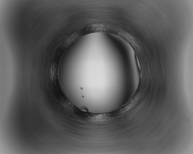 X0000100320382200806051522